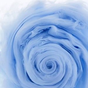 Meet your Posher, Juli